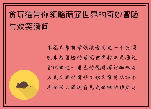 贪玩猫带你领略萌宠世界的奇妙冒险与欢笑瞬间